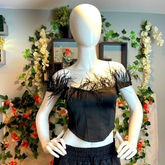 Micas Feathered Trim Off the Shoulders Satin Corset Style Crop Top RefHHH‎ - Picture 2 of 12